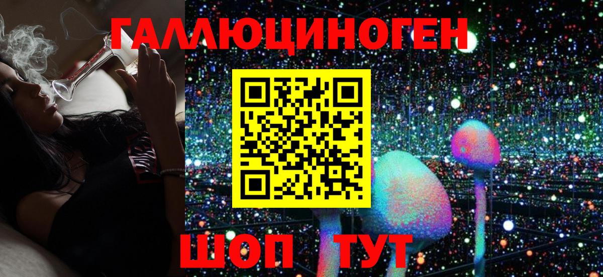 Галлюциногенные грибы Psilocybine cubensis  Вход с VPN  Коркино 